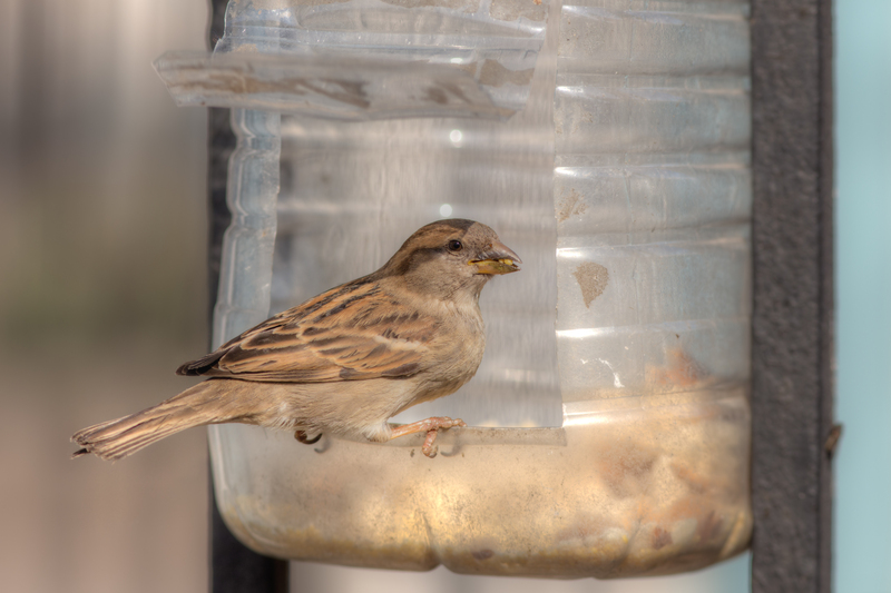 Innovative Ideas That Give Cardboard Packaging a Second Life